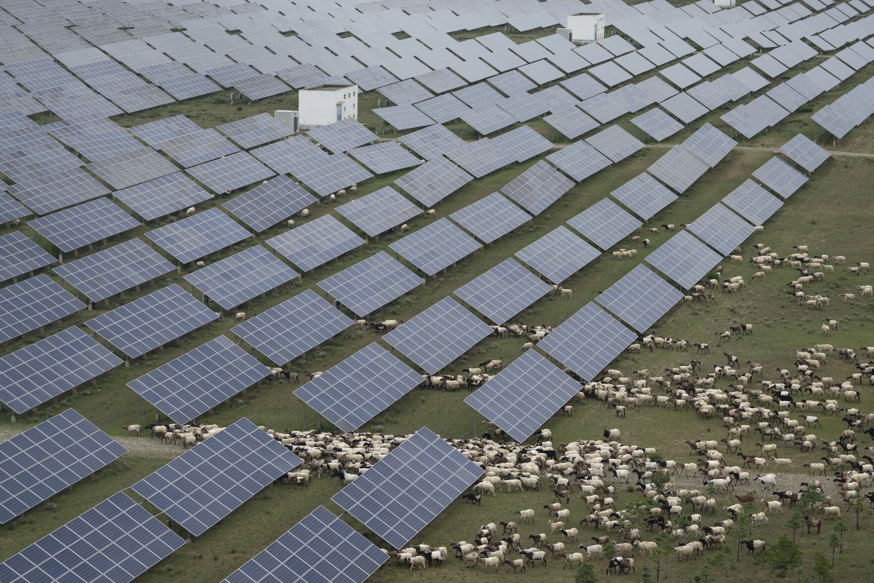 Climate China Solar